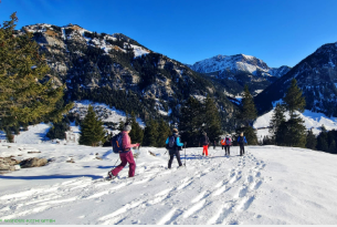 Bild zu Veranstaltung