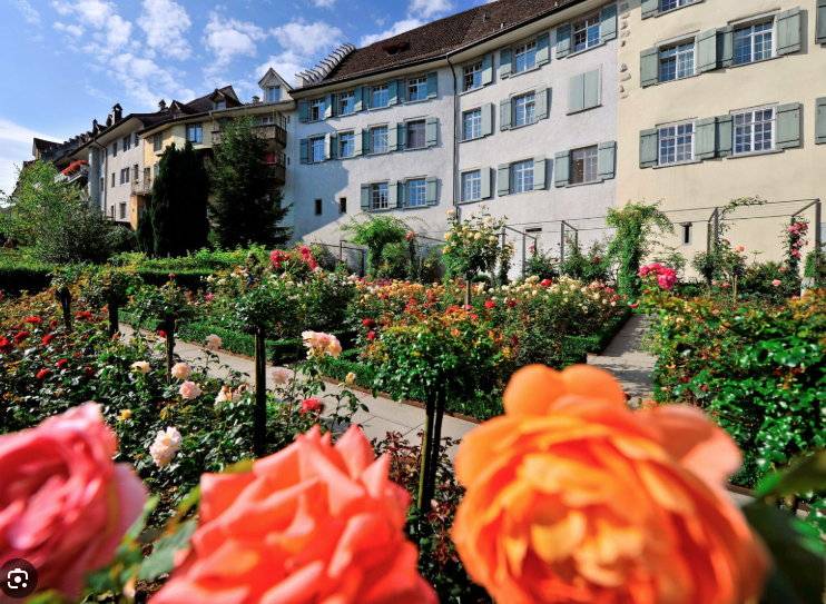 Bild zu Veranstaltung