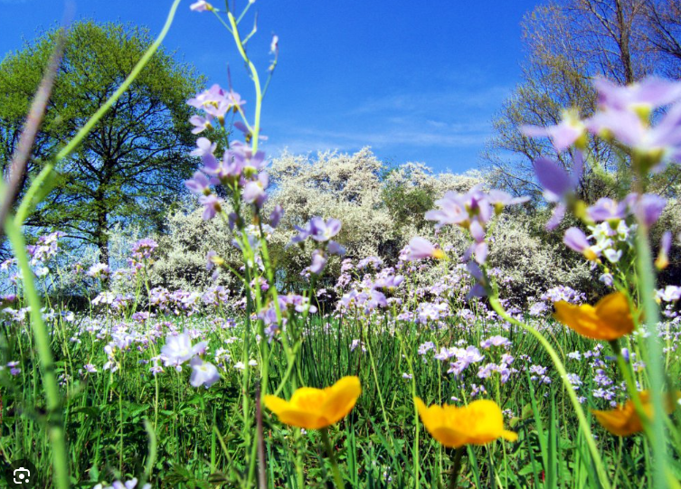 Bild zu Veranstaltung