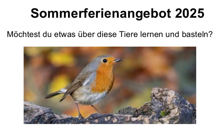 Sommerferienangebot.JPG